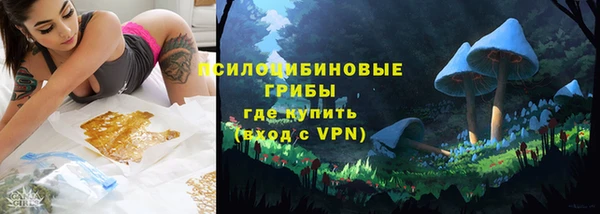 экстази Ельня